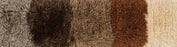 Polyester 13604 Area Rug Textured 5
