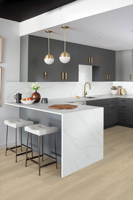 Everlife LVT Wayne Parc Waldron WPC Luxury Vinyl Plank Flooring - Low Gloss