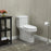 Vitreous China White Toilet White 10