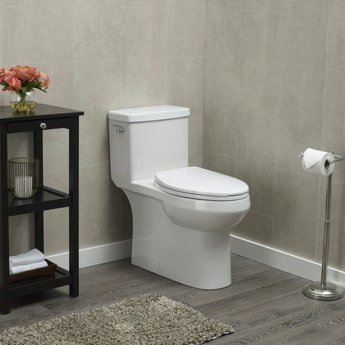 Vitreous China White Toilet White 10