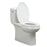 Vitreous China White Toilet White 7
