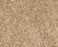 Nylon Worn Saddle 771 Area Rug XV420 Textured 1