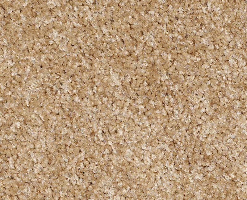 Nylon Worn Saddle 771 Area Rug XV420 Textured 1