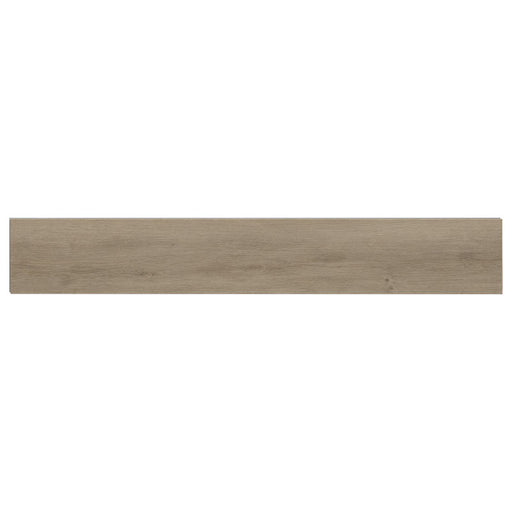 Everlife LVT XL Studio Lark Rigid Core Luxury Vinyl Plank Flooring - Low Gloss