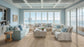 Everlife LVT XL Studio Tifton Rigid Core Luxury Vinyl Plank Flooring - Low Gloss
