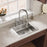 Explore Brass Lustrous Steel Kitchen Faucet Lustrous Steel 2