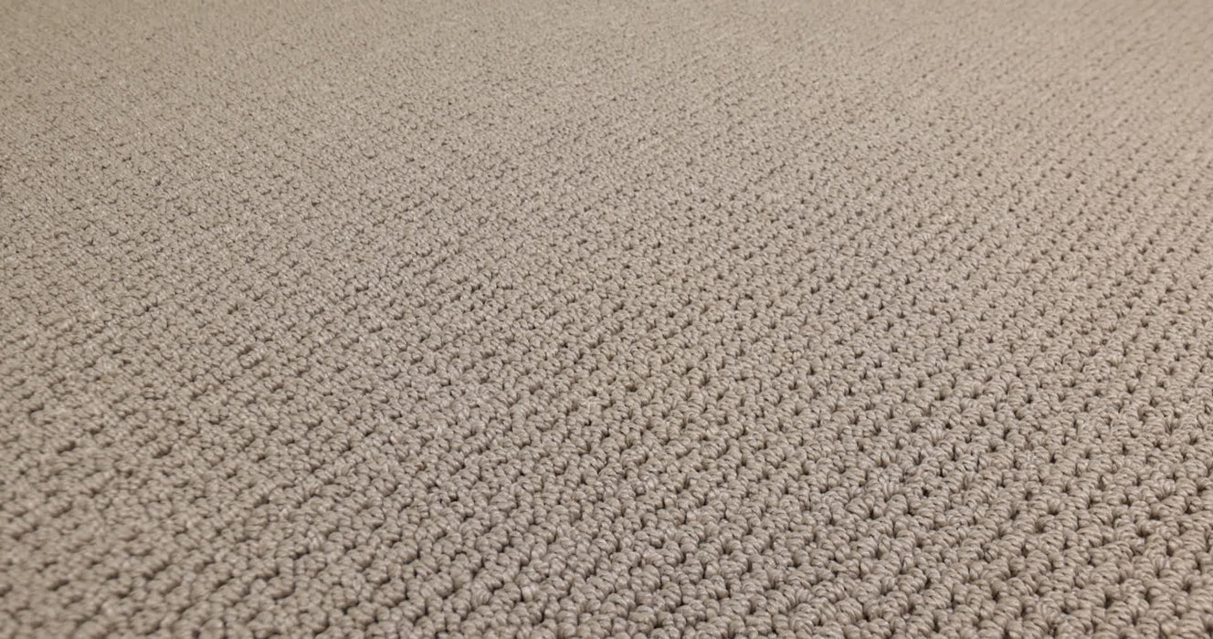 Arden Park Nylon Taupe Gray 00757 Carpet Loop 3