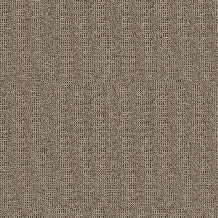 Arden Park Nylon Taupe Gray 00757 Carpet Loop 1