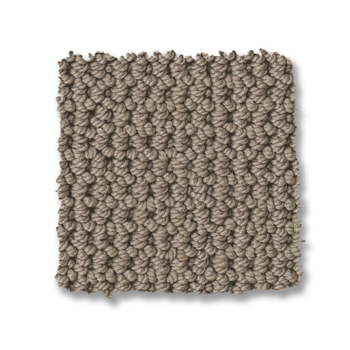 Arden Park Nylon Taupe Gray 00757 Carpet Loop 2