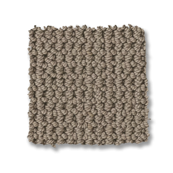 Arden Park Nylon Taupe Gray 00757 Carpet Loop 2