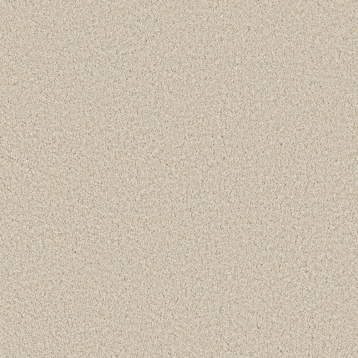 Bella Nova Nylon Light Breeze 00110 Carpet Textured 1