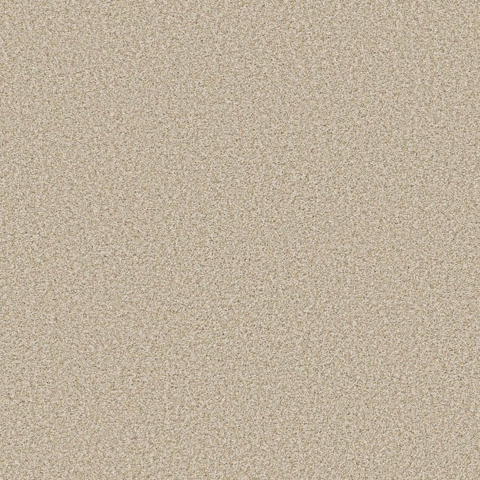 Bella Nova Nylon Soft Linen 00120 Carpet Textured 1
