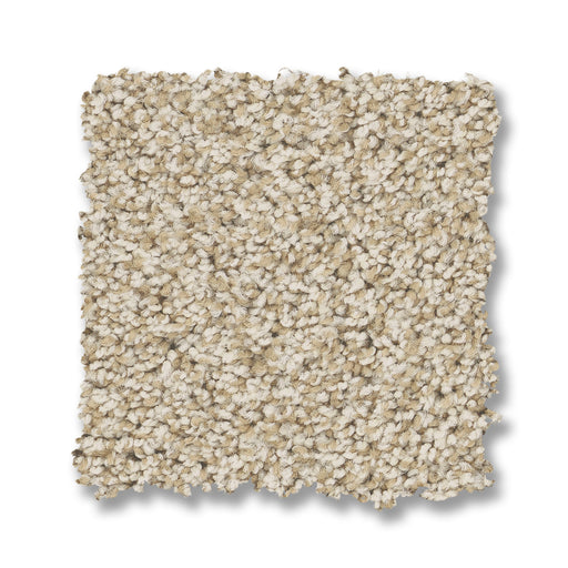 Bella Nova Nylon Soft Linen 00120 Carpet Textured 2