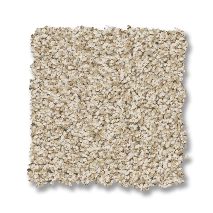 Bella Nova Nylon Soft Linen 00120 Carpet Textured 2