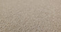 Bella Nova Nylon Salt Air 00130 Carpet Textured 3