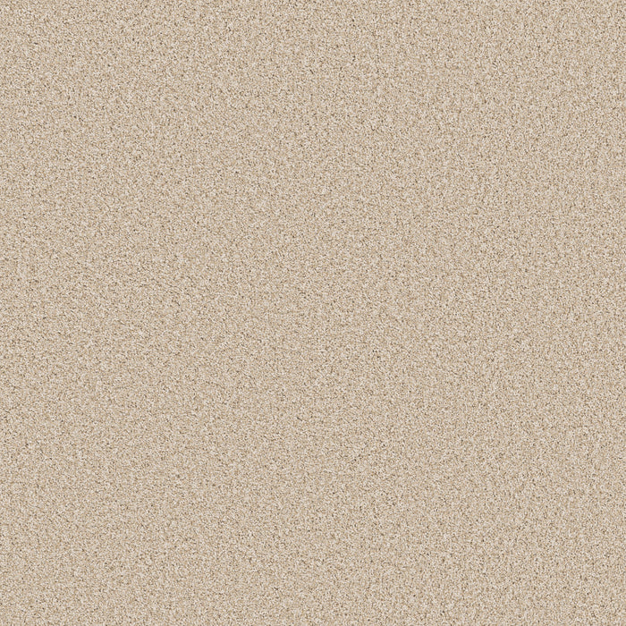 Bella Nova Nylon Salt Air 00130 Carpet Textured 1