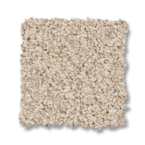Bella Nova Nylon Salt Air 00130 Carpet Textured 2