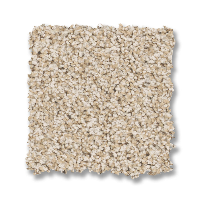Bella Nova Nylon Salt Air 00130 Carpet Textured 2
