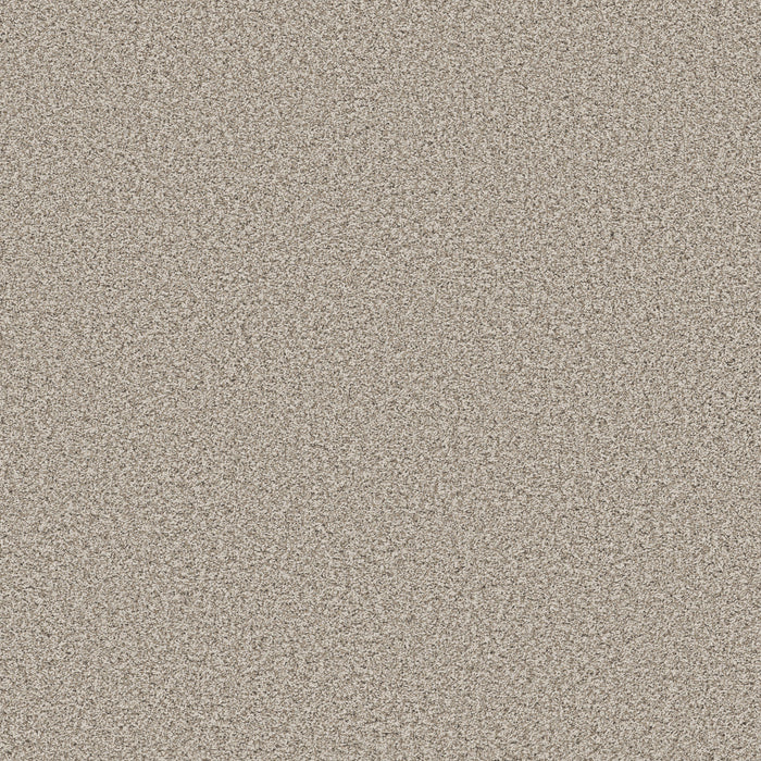 Bella Nova Nylon Misty Dawn 00151 Carpet Textured 1