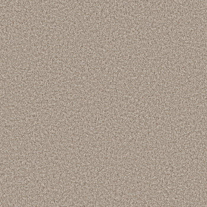 Bella Nova Nylon Spun Cotton 00172 Carpet Textured 1