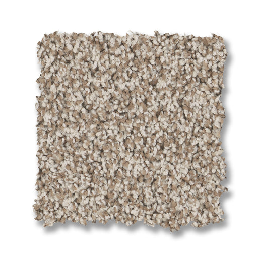 Bella Nova Nylon Spun Cotton 00172 Carpet Textured 2