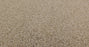 Bella Nova Nylon Beach Grass 00223 Carpet Textured 3