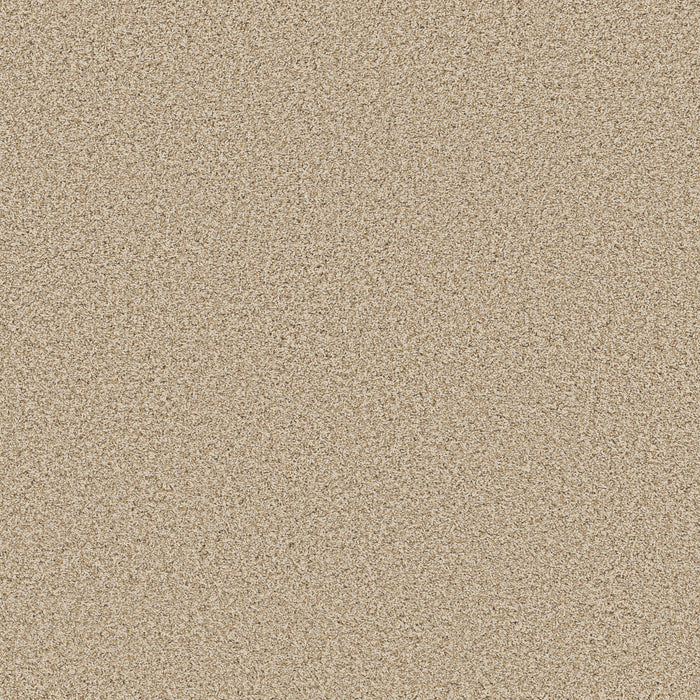 Bella Nova Nylon Beach Grass 00223 Carpet Textured 1