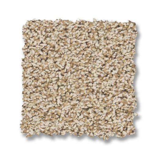 Bella Nova Nylon Beach Grass 00223 Carpet Textured 2
