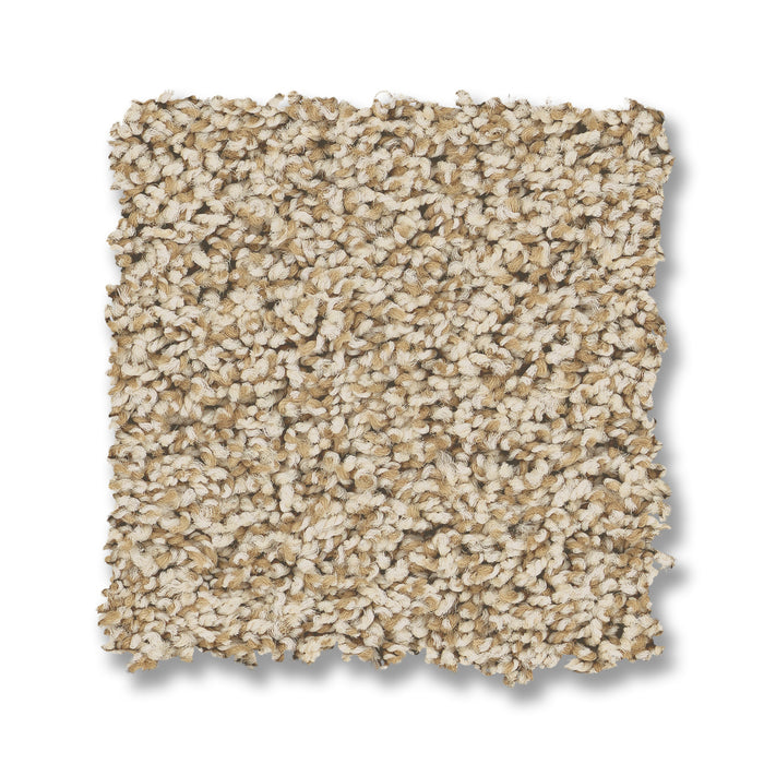 Bella Nova Nylon Beach Grass 00223 Carpet Textured 2