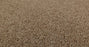 Bella Nova Nylon Savannah 00230 Carpet Textured 3