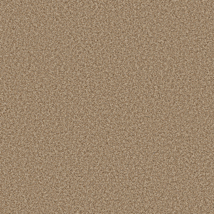 Bella Nova Nylon Savannah 00230 Carpet Textured 1