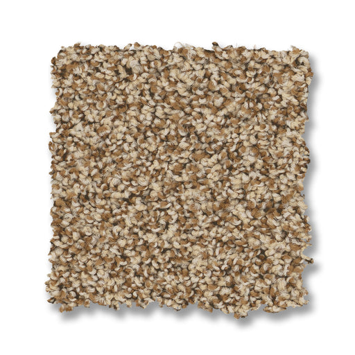 Bella Nova Nylon Savannah 00230 Carpet Textured 2