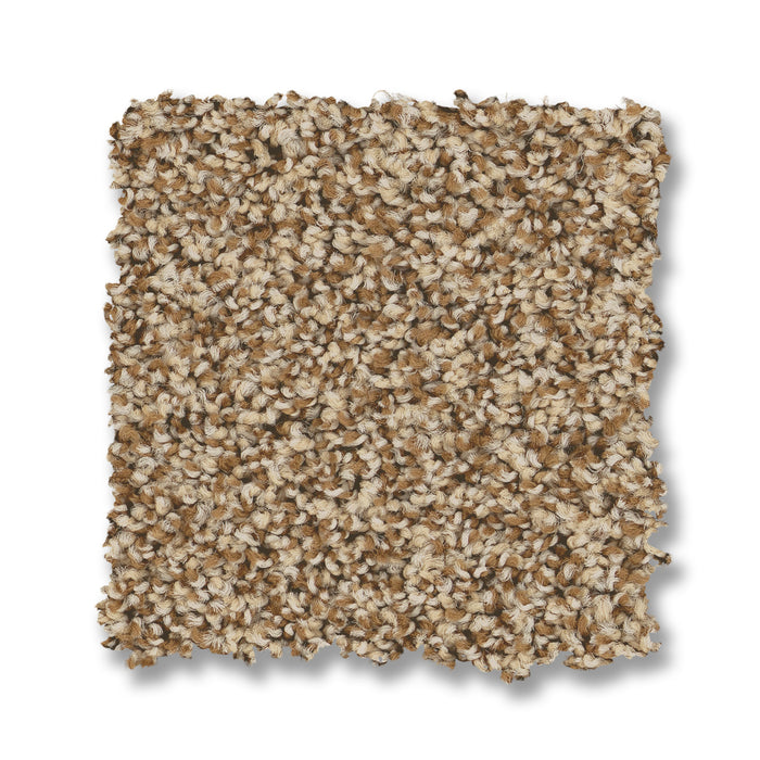Bella Nova Nylon Savannah 00230 Carpet Textured 2