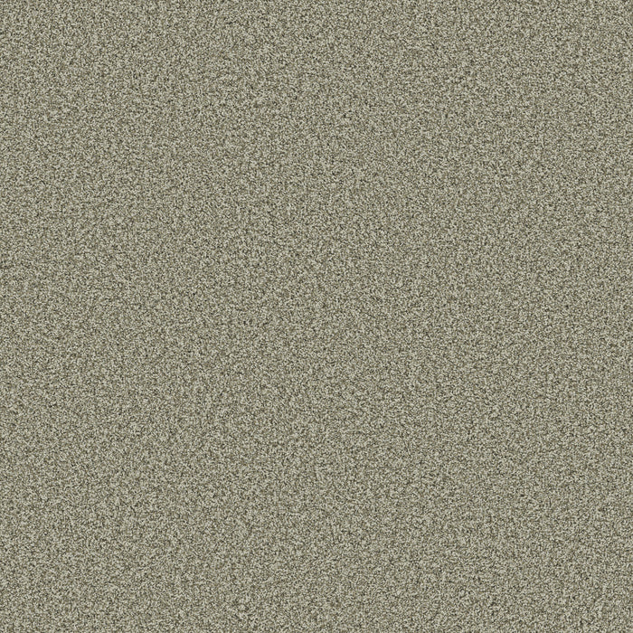 Bella Nova Nylon Highlands 00310 Carpet Textured 1