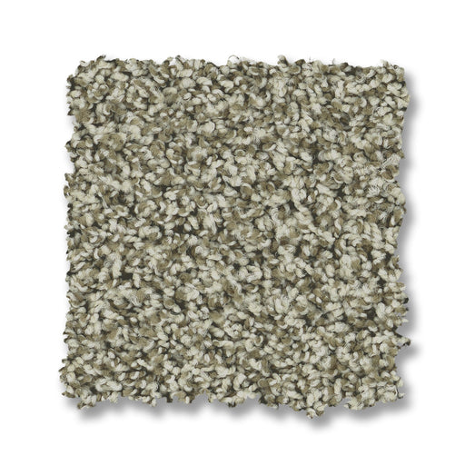 Bella Nova Nylon Highlands 00310 Carpet Textured 2