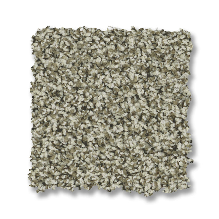 Bella Nova Nylon Highlands 00310 Carpet Textured 2