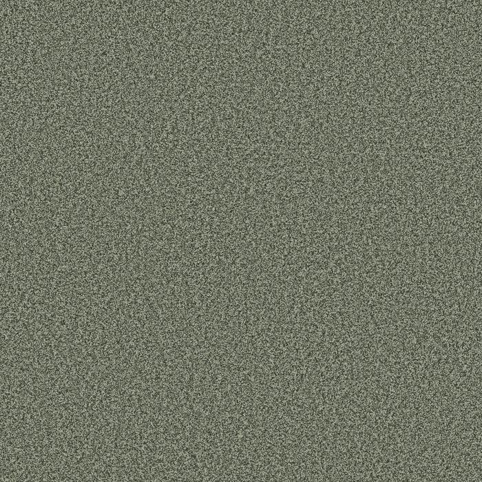 Bella Nova Nylon Oak Grove 00320 Carpet Textured 1