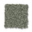 Bella Nova Nylon Oak Grove 00320 Carpet Textured 2