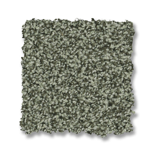 Bella Nova Nylon Oak Grove 00320 Carpet Textured 2