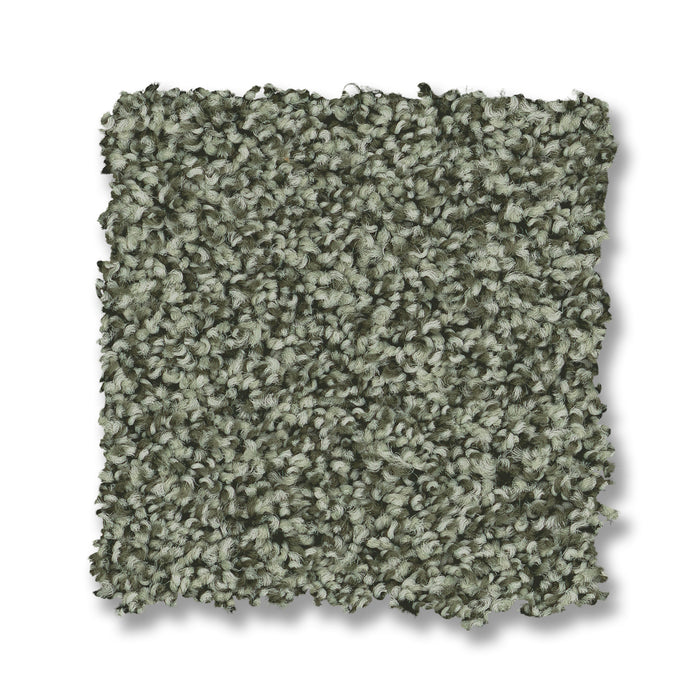 Bella Nova Nylon Oak Grove 00320 Carpet Textured 2