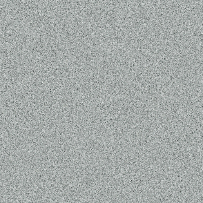 Bella Nova Nylon Sea Foam 00410 Carpet Textured 1