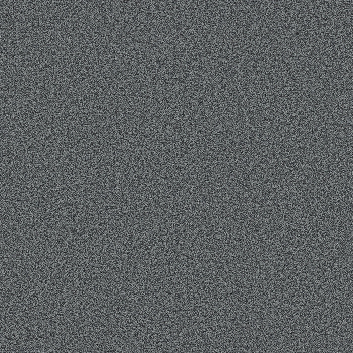Bella Nova Nylon Twill 00460 Carpet Textured 1