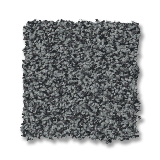 Bella Nova Nylon Twill 00460 Carpet Textured 2