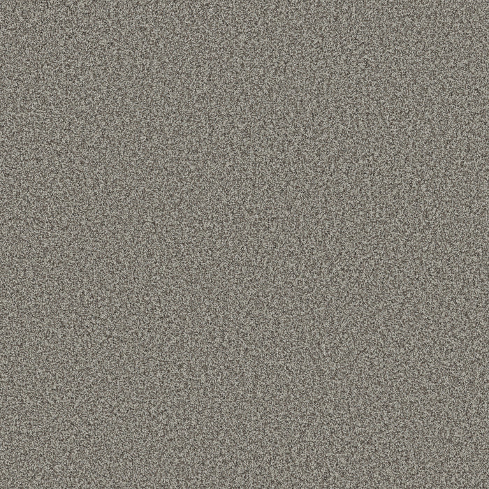 Bella Nova Nylon Chelsea Fog 00544 Carpet Textured 1