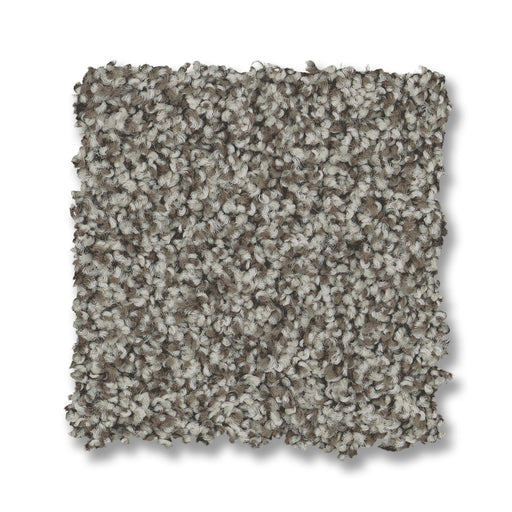 Bella Nova Nylon Chelsea Fog 00544 Carpet Textured 2