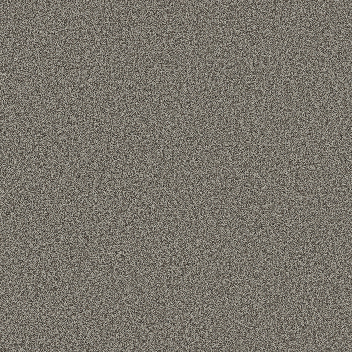 Bella Nova Nylon Sable 00550 Carpet Textured 1