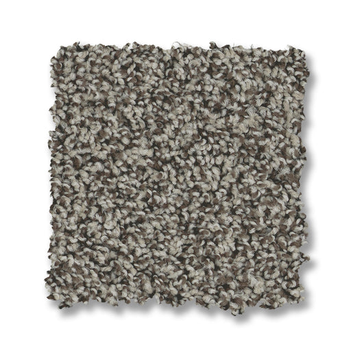Bella Nova Nylon Sable 00550 Carpet Textured 2