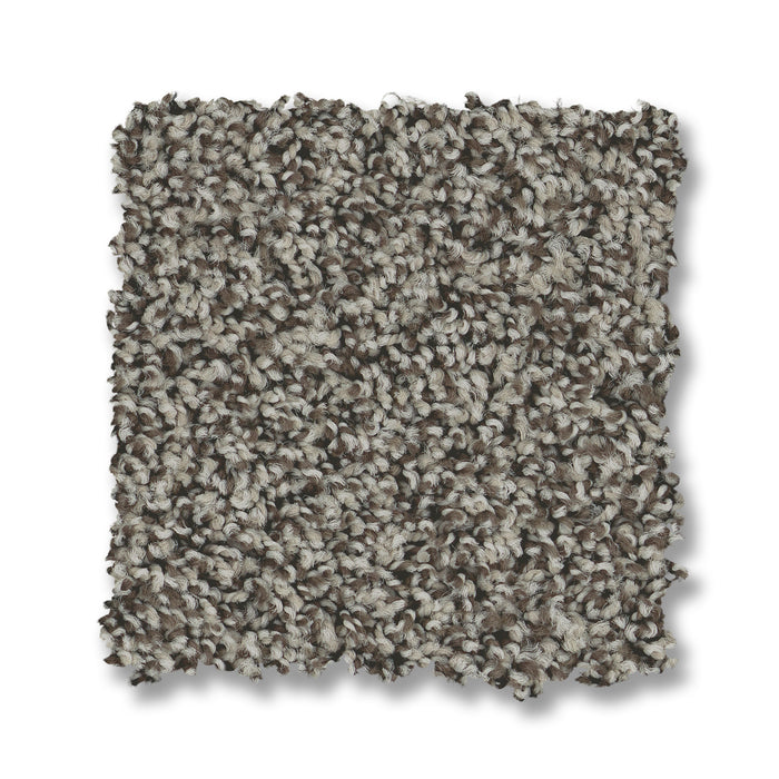 Bella Nova Nylon Sable 00550 Carpet Textured 2