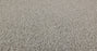 Bella Nova Nylon Platinum 00552 Carpet Textured 3