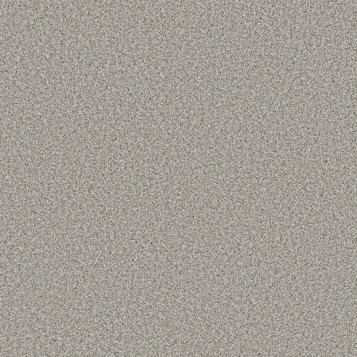 Bella Nova Nylon Platinum 00552 Carpet Textured 1